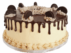 2016-03-12_023-removebg-preview