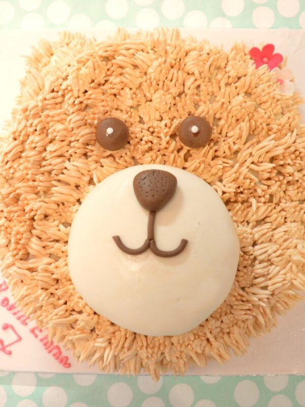 teddy-bear-cake-brown