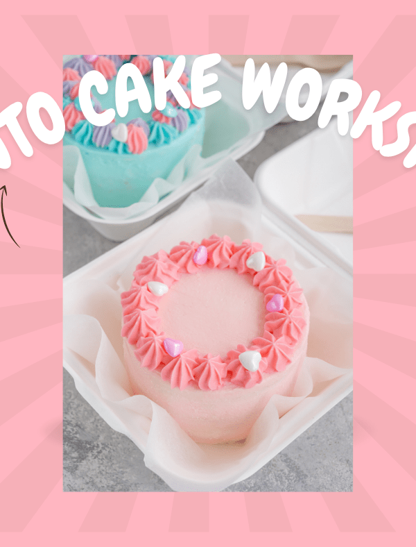 bento-cake-workshop-den-haag