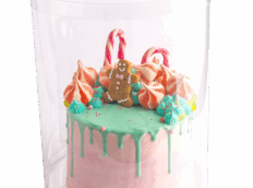 FT_GingeCake_Isolated_01