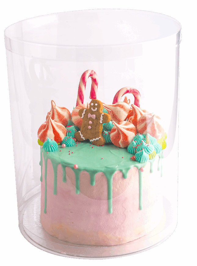 FT_GingeCake_Isolated_01 FT_GingeCake_Isolated_01