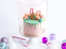 FT_GingeCake_Isolated_02-scaled