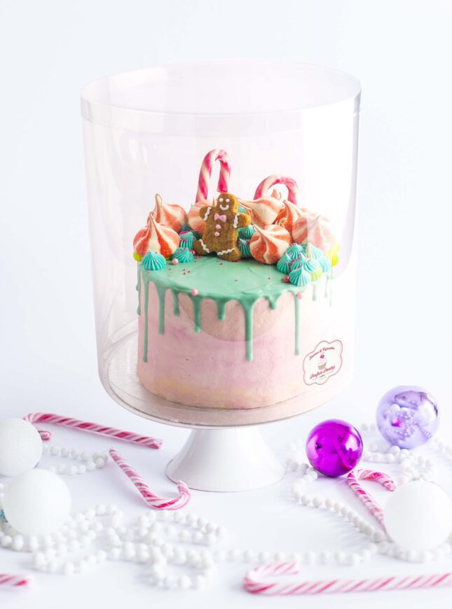 FT_GingeCake_Isolated_02-scaled FT_GingeCake_Isolated_02-scaled