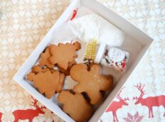 kerst-koekjes-kit-sprinkles-glazuur-in-de-doos