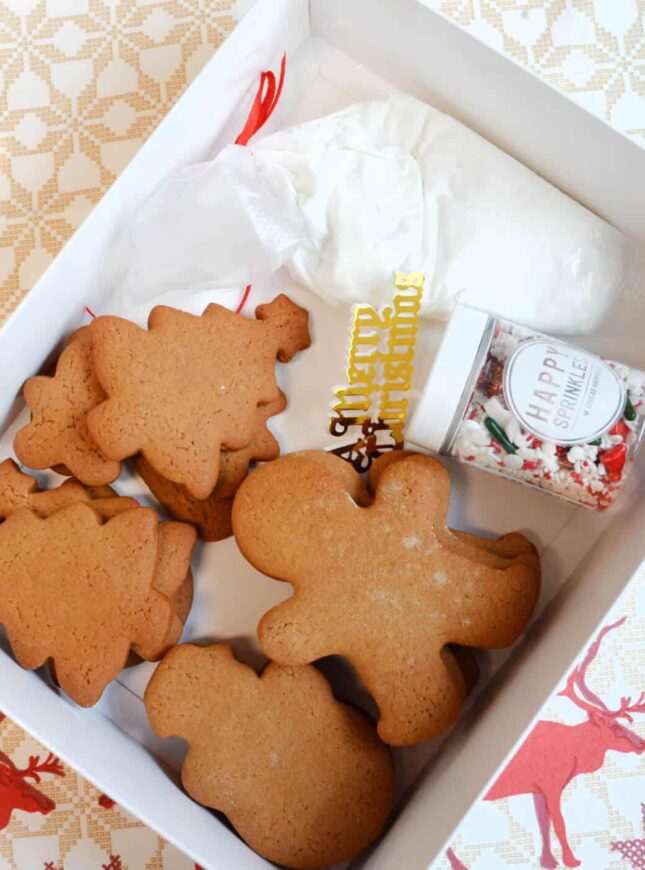 Xmas-cookies-sprinkles-royal-icing-kit kerst-koekjes-kit-sprinkles-glazuur-in-de-doos