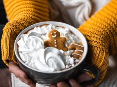 chocolade-melk-met-een-gingerbread-koek